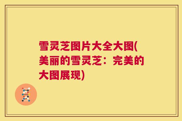 雪灵芝图片大全大图(美丽的雪灵芝：完美的大图展现)