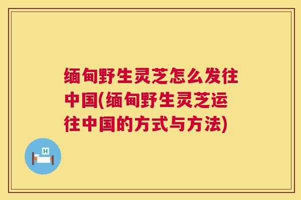 缅甸野生灵芝怎么发往中国(缅甸野生灵芝运往中国的方式与方法)