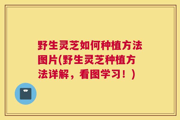 野生灵芝如何种植方法图片(野生灵芝种植方法详解，看图学习！)