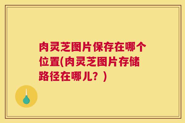 肉灵芝图片保存在哪个位置(肉灵芝图片存储路径在哪儿？)