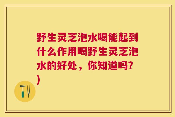 野生灵芝泡水喝能起到什么作用喝野生灵芝泡水的好处，你知道吗？)