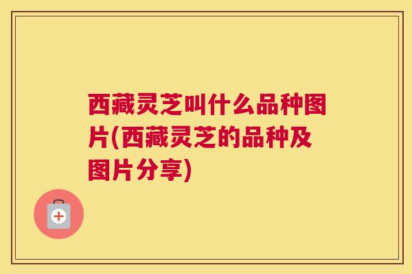 西藏灵芝叫什么品种图片(西藏灵芝的品种及图片分享)