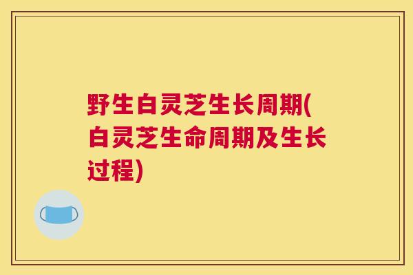 野生白灵芝生长周期(白灵芝生命周期及生长过程) 野生白灵芝生长周期(白灵芝生命周期及生长过程)
