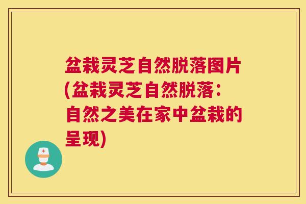 盆栽灵芝自然脱落图片(盆栽灵芝自然脱落：自然之美在家中盆栽的呈现)