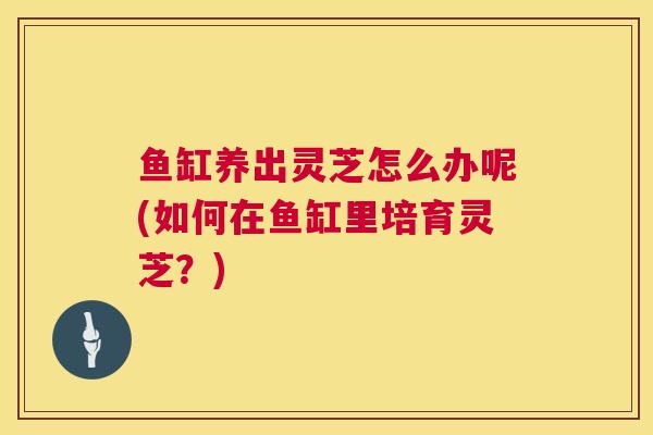 鱼缸养出灵芝怎么办呢(如何在鱼缸里培育灵芝？)