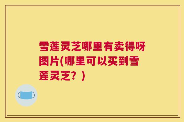 雪莲灵芝哪里有卖得呀图片(哪里可以买到雪莲灵芝?) 雪莲灵芝哪里有卖得呀图片(哪里可以买到雪莲灵芝?)