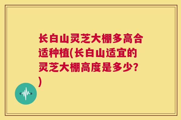 长白山灵芝大棚多高合适种植(长白山适宜的灵芝大棚高度是多少?) 长白山灵芝大棚多高合适种植(长白山适宜的灵芝大棚高度是多少?)
