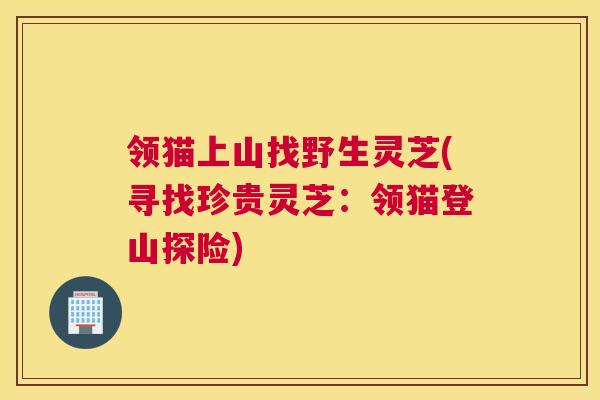领猫上山找野生灵芝(寻找珍贵灵芝：领猫登山探险)