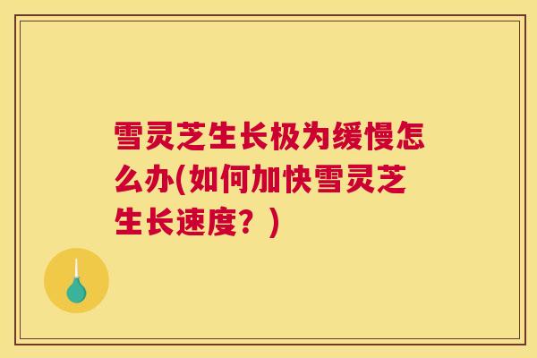 雪灵芝生长极为缓慢怎么办(如何加快雪灵芝生长速度？)