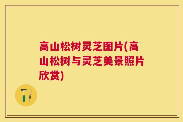 高山松树灵芝图片(高山松树与灵芝美景照片欣赏)