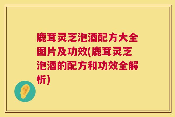 鹿茸灵芝泡酒配方大全图片及功效(鹿茸灵芝泡酒的配方和功效全解析)