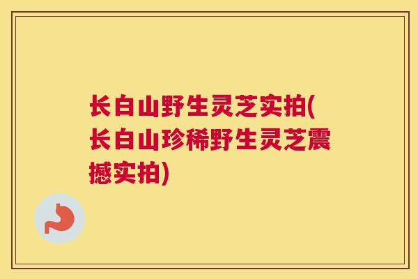 长白山野生灵芝实拍(长白山珍稀野生灵芝震撼实拍)