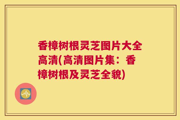 香樟树根灵芝图片大全高清(高清图片集：香樟树根及灵芝全貌)
