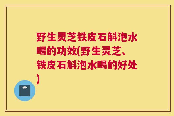 野生灵芝铁皮石斛泡水喝的功效(野生灵芝、铁皮石斛泡水喝的好处)