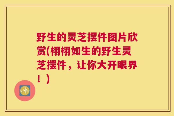 野生的灵芝摆件图片欣赏(栩栩如生的野生灵芝摆件,让你大开眼界!) 野生的灵芝摆件图片欣赏(栩栩如生的野生灵芝摆件,让你大开眼界!)