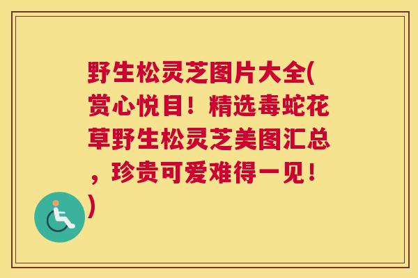 野生松灵芝图片大全(赏心悦目！精选毒蛇花草野生松灵芝美图汇总，珍贵可爱难得一见！)