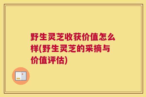 野生灵芝收获价值怎么样(野生灵芝的采摘与价值评估)