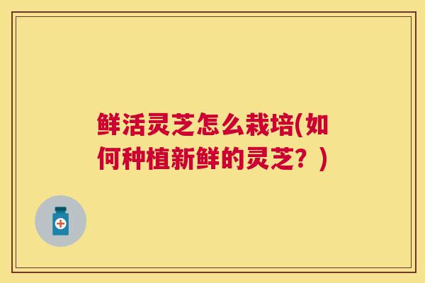 鲜活灵芝怎么栽培(如何种植新鲜的灵芝？)