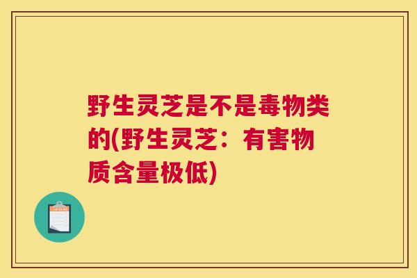 野生灵芝是不是毒物类的(野生灵芝：有害物质含量极低)