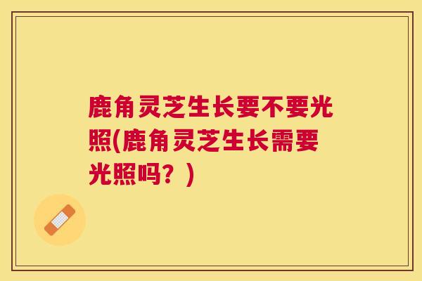 鹿角灵芝生长要不要光照(鹿角灵芝生长需要光照吗？)