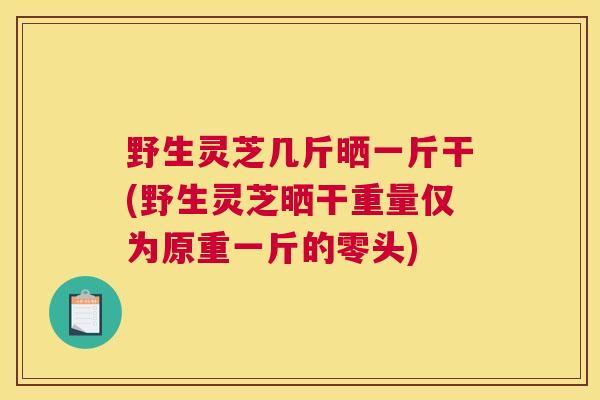 野生灵芝几斤晒一斤干(野生灵芝晒干重量仅为原重一斤的零头) 野生灵芝几斤晒一斤干(野生灵芝晒干重量仅为原重一斤的零头)