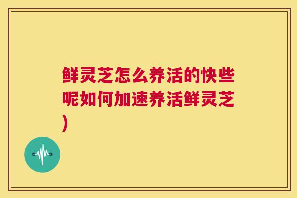 鲜灵芝怎么养活的快些呢如何加速养活鲜灵芝)