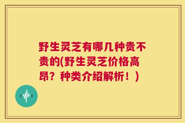 野生灵芝有哪几种贵不贵的(野生灵芝价格高昂？种类介绍解析！)