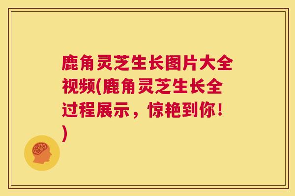 鹿角灵芝生长图片大全视频(鹿角灵芝生长全过程展示，惊艳到你！)