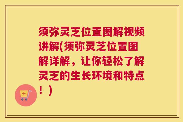 须弥灵芝位置图解视频讲解(须弥灵芝位置图解详解，让你轻松了解灵芝的生长环境和特点！)