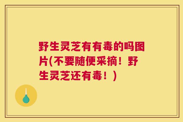 野生灵芝有有毒的吗图片(不要随便采摘！野生灵芝还有毒！)