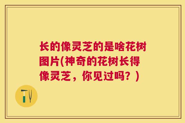长的像灵芝的是啥花树图片(神奇的花树长得像灵芝，你见过吗？)