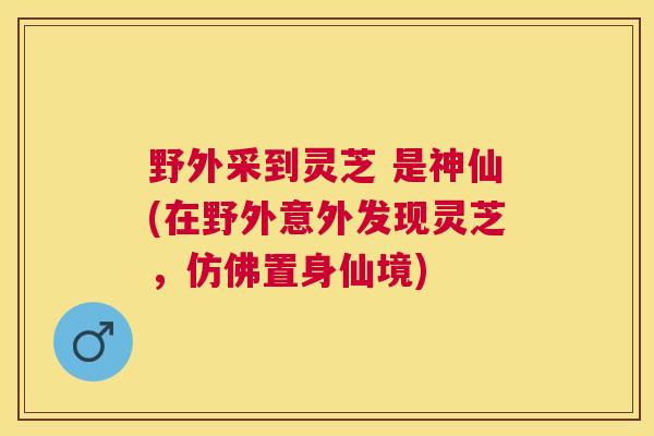 野外采到灵芝 是神仙(在野外意外发现灵芝，仿佛置身仙境)