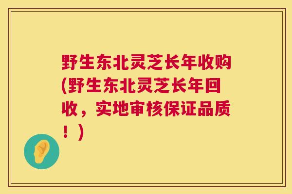 野生东北灵芝长年收购(野生东北灵芝长年回收，实地审核保证品质！)