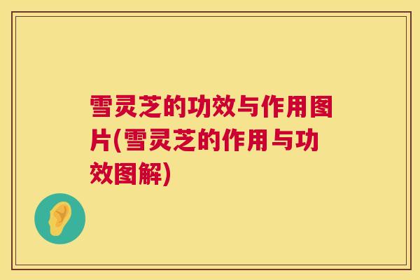 雪灵芝的功效与作用图片(雪灵芝的作用与功效图解)
