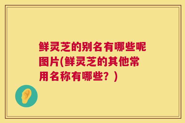 鲜灵芝的别名有哪些呢图片(鲜灵芝的其他常用名称有哪些?) 鲜灵芝的别名有哪些呢图片(鲜灵芝的其他常用名称有哪些?)