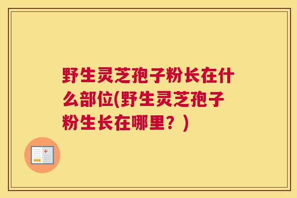 野生灵芝孢子粉长在什么部位(野生灵芝孢子粉生长在哪里？)