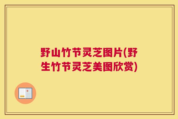 野山竹节灵芝图片(野生竹节灵芝美图欣赏)