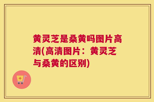 黄灵芝是桑黄吗图片高清(高清图片:黄灵芝与桑黄的区别) 黄灵芝是桑黄吗图片高清(高清图片:黄灵芝与桑黄的区别)