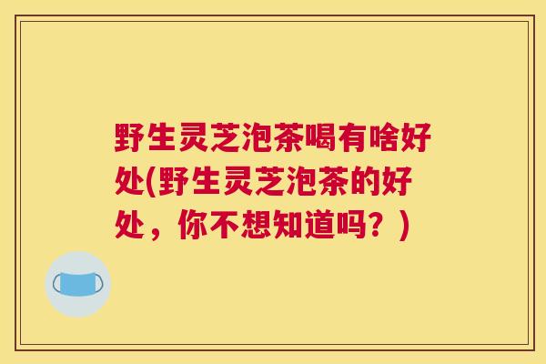 野生灵芝泡茶喝有啥好处(野生灵芝泡茶的好处，你不想知道吗？)