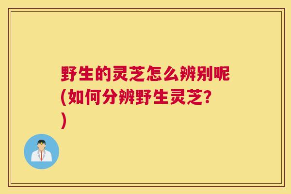 野生的灵芝怎么辨别呢(如何分辨野生灵芝？)