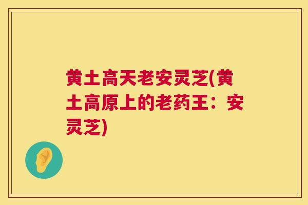 黄土高天老安灵芝(黄土高原上的老药王：安灵芝)