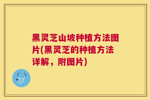 黑灵芝山坡种植方法图片(黑灵芝的种植方法详解，附图片)