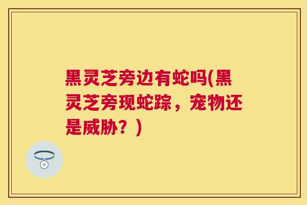 黑灵芝旁边有蛇吗(黑灵芝旁现蛇踪，宠物还是威胁？)