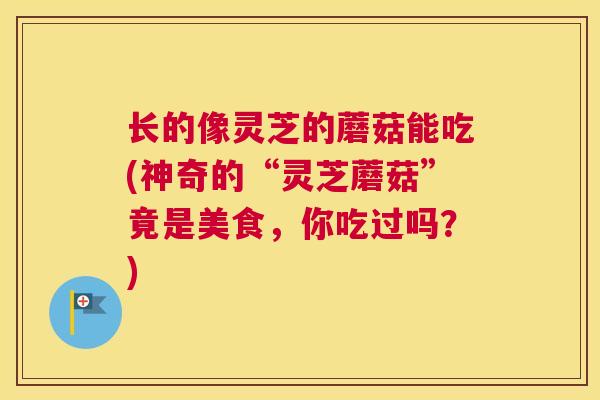 长的像灵芝的蘑菇能吃(神奇的“灵芝蘑菇”竟是美食，你吃过吗？)