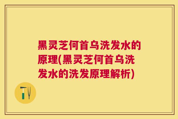 黑灵芝何首乌洗发水的原理(黑灵芝何首乌洗发水的洗发原理解析)