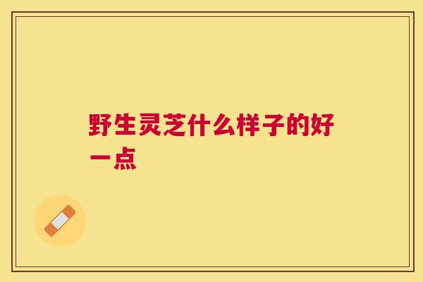 野生灵芝什么样子的好一点