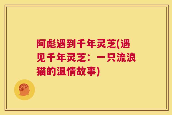 阿彪遇到千年灵芝(遇见千年灵芝：一只流浪猫的温情故事)
