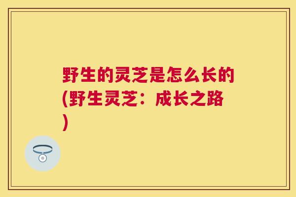 野生的灵芝是怎么长的(野生灵芝：成长之路)