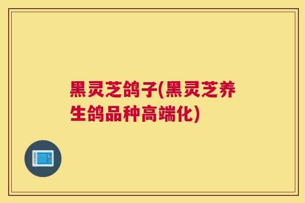 黑灵芝鸽子(黑灵芝养生鸽品种高端化) 黑灵芝鸽子(黑灵芝养生鸽品种高端化)