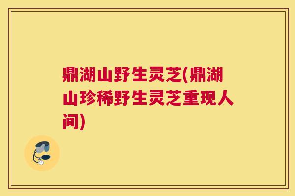 鼎湖山野生灵芝(鼎湖山珍稀野生灵芝重现人间)